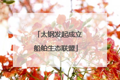 太钢发起成立船舶生态联盟
