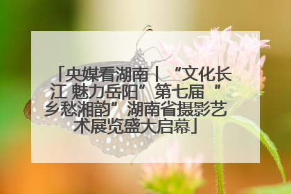 央媒看湖南丨“文化长江 魅力岳阳”第七届“乡愁湘韵”湖南省摄影艺术展览盛大启幕