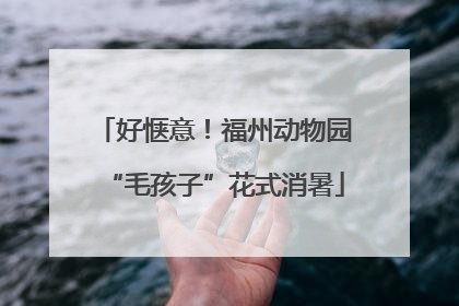 好惬意！福州动物园“毛孩子”花式消暑