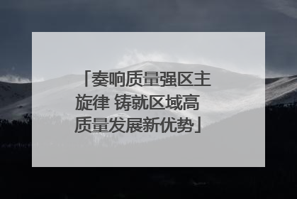 奏响质量强区主旋律 铸就区域高质量发展新优势