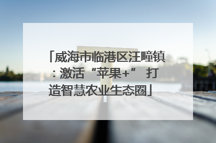 威海市临港区汪疃镇：激活“苹果+” 打造智慧农业生态圈