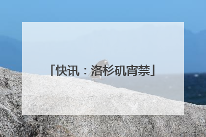 快讯：洛杉矶宵禁