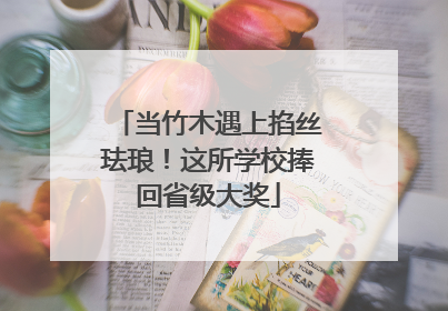 当竹木遇上掐丝珐琅！这所学校捧回省级大奖