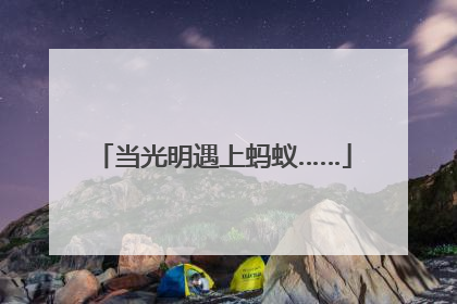 当光明遇上蚂蚁……