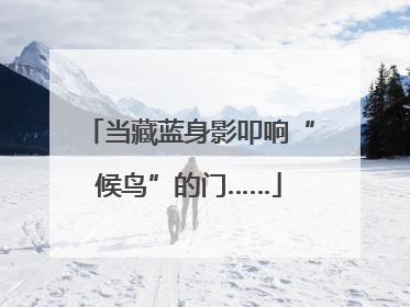 当藏蓝身影叩响“候鸟”的门……