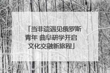 当非遗遇见俄罗斯青年 曲阜研学开启文化交融新旅程