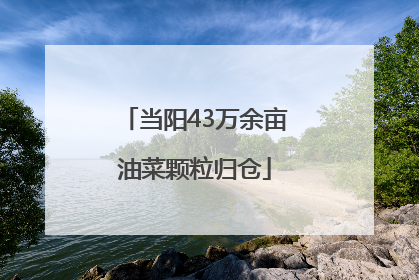 当阳43万余亩油菜颗粒归仓