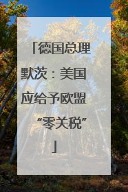 德国总理默茨：美国应给予欧盟“零关税”