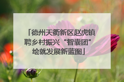 德州天衢新区赵虎镇聘乡村振兴“智囊团” 绘就发展新蓝图