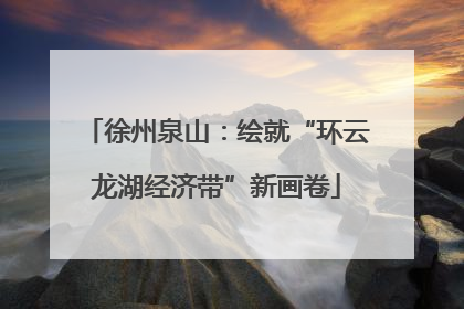 徐州泉山：绘就“环云龙湖经济带”新画卷