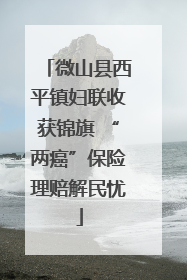 微山县西平镇妇联收获锦旗 “两癌”保险理赔解民忧