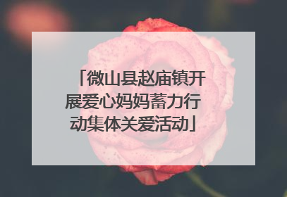 微山县赵庙镇开展爱心妈妈蓄力行动集体关爱活动