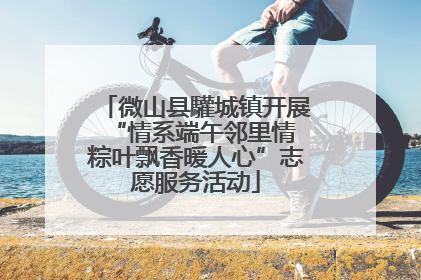 微山县驩城镇开展“情系端午邻里情 粽叶飘香暖人心”志愿服务活动