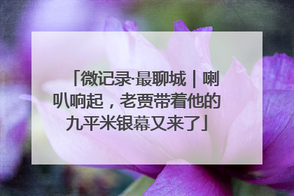 微记录·最聊城｜喇叭响起，老贾带着他的九平米银幕又来了