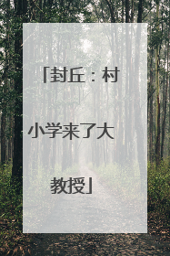 封丘：村小学来了大教授