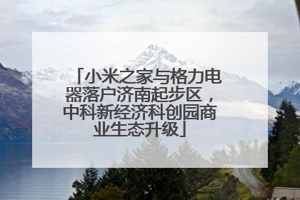 小米之家与格力电器落户济南起步区，中科新经济科创园商业生态升级