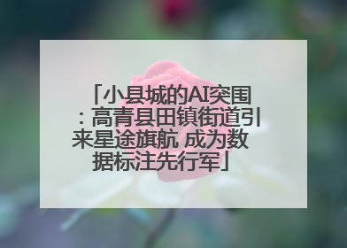 小县城的AI突围：高青县田镇街道引来星途旗航 成为数据标注先行军