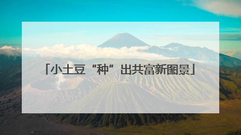 小土豆“种”出共富新图景