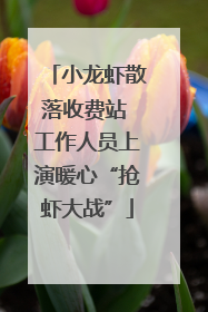 小龙虾散落收费站 工作人员上演暖心“抢虾大战”