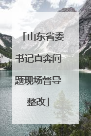 山东省委书记直奔问题现场督导整改