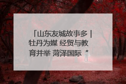 山东友城故事多｜牡丹为媒 经贸与教育并举 菏泽国际“朋友圈”扩容升级