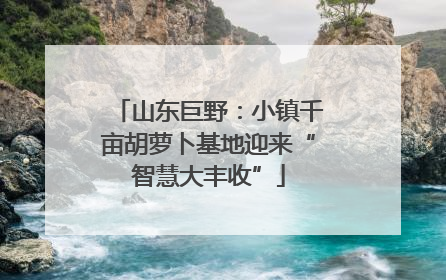 山东巨野：小镇千亩胡萝卜基地迎来“智慧大丰收”