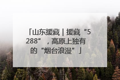 山东援藏｜援藏“5288”，高原上独有的“烟台浪漫”