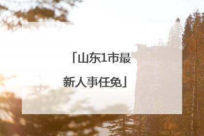 山东1市最新人事任免