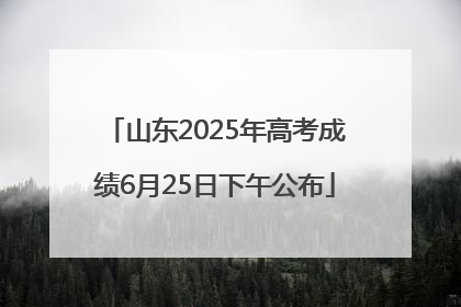 山东2025年高考成绩6月25日下午公布