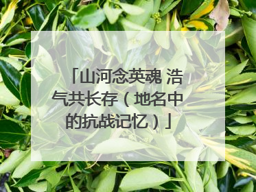 山河念英魂 浩气共长存（地名中的抗战记忆）