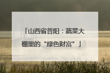 山西省昔阳：蔬菜大棚里的“绿色财富”