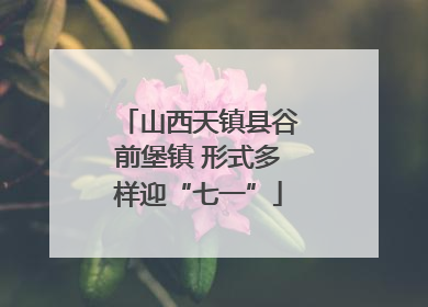 山西天镇县谷前堡镇 形式多样迎“七一”