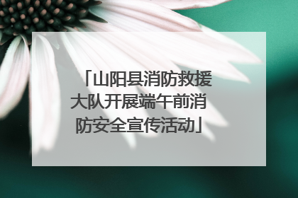 山阳县消防救援大队开展端午前消防安全宣传活动