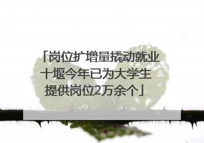 岗位扩增量撬动就业 十堰今年已为大学生提供岗位2万余个