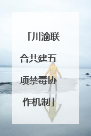 川渝联合共建五项禁毒协作机制