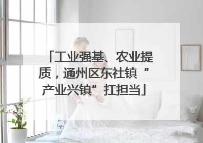 工业强基、农业提质，通州区东社镇“产业兴镇”扛担当