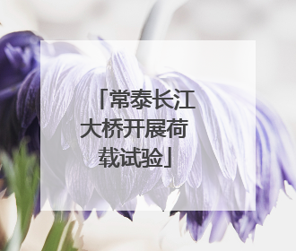 常泰长江大桥开展荷载试验