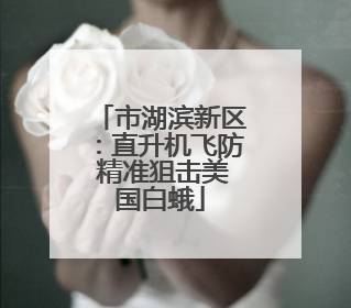 市湖滨新区：直升机飞防 精准狙击美国白蛾