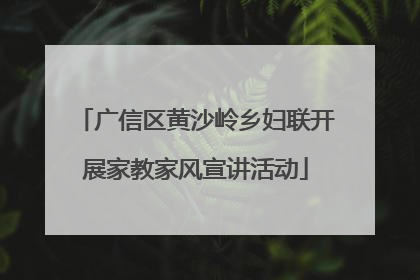 广信区黄沙岭乡妇联开展家教家风宣讲活动