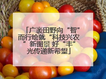 广袤田野向“智”而行绘就“科技兴农”新图景 好“丰”光传递新希望