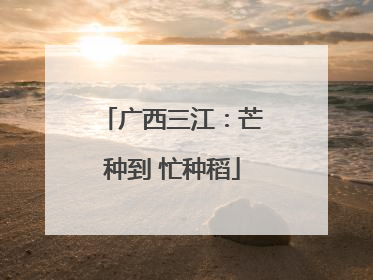 广西三江：芒种到 忙种稻