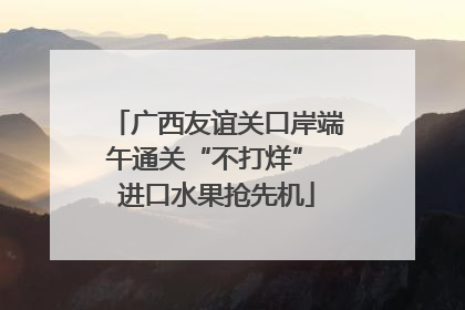 广西友谊关口岸端午通关“不打烊” 进口水果抢先机
