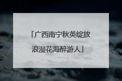 广西南宁秋英绽放 浪漫花海醉游人