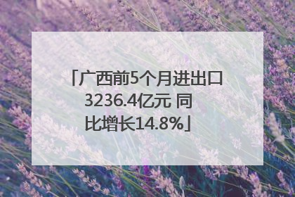 广西前5个月进出口3236.4亿元 同比增长14.8%