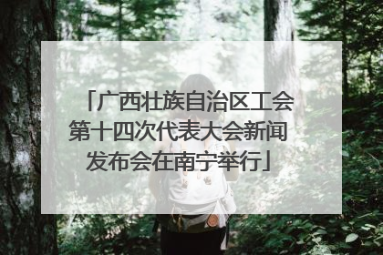 广西壮族自治区工会第十四次代表大会新闻发布会在南宁举行
