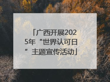 广西开展2025年“世界认可日”主题宣传活动