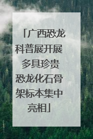 广西恐龙科普展开展 多具珍贵恐龙化石骨架标本集中亮相