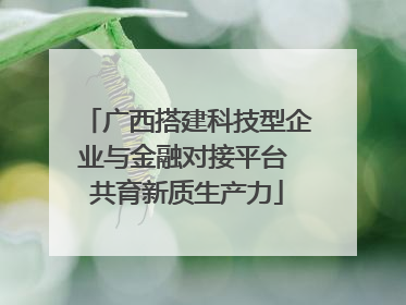 广西搭建科技型企业与金融对接平台 共育新质生产力