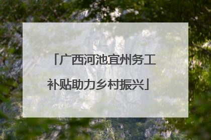 广西河池宜州务工补贴助力乡村振兴