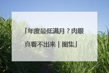 年度最低满月？肉眼真看不出来｜图集